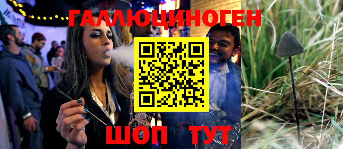 Псилоцибиновые грибы прущие грибы  Вход с VPN  Знаменск  Псилоцибиновые грибы ЛСД 